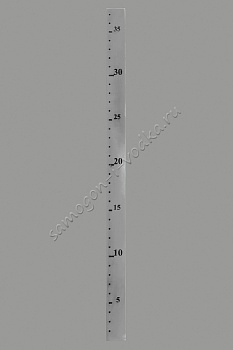 фото Линейка для кубов 37 литров серии Maxima (D360)