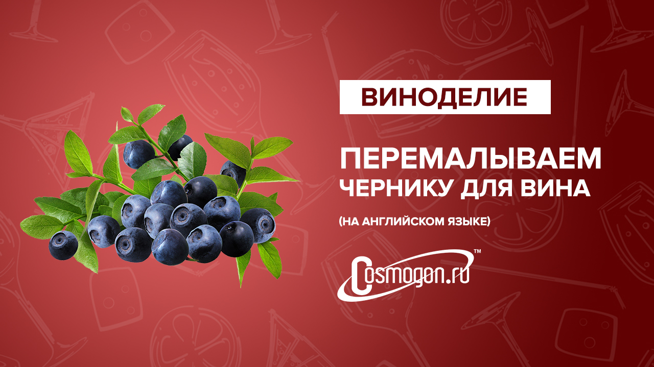 Crushing Blueberries for Blueberry Wine